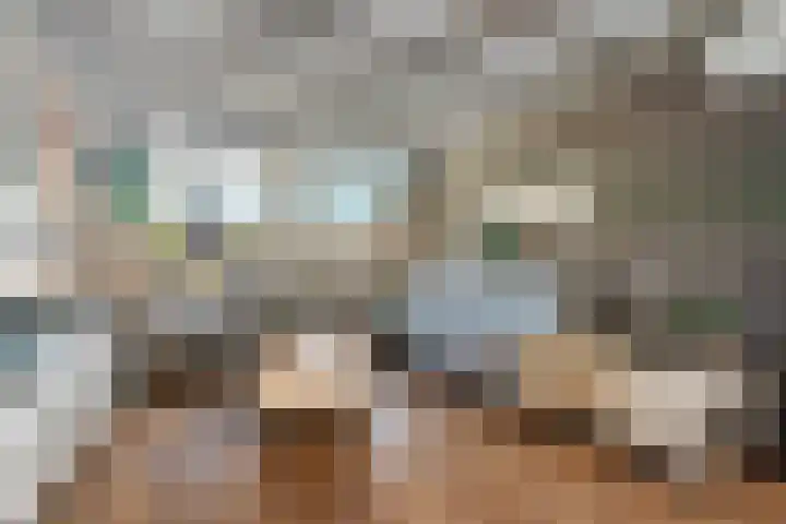 Hogehoek 11 Oeffelt thumbnail 8