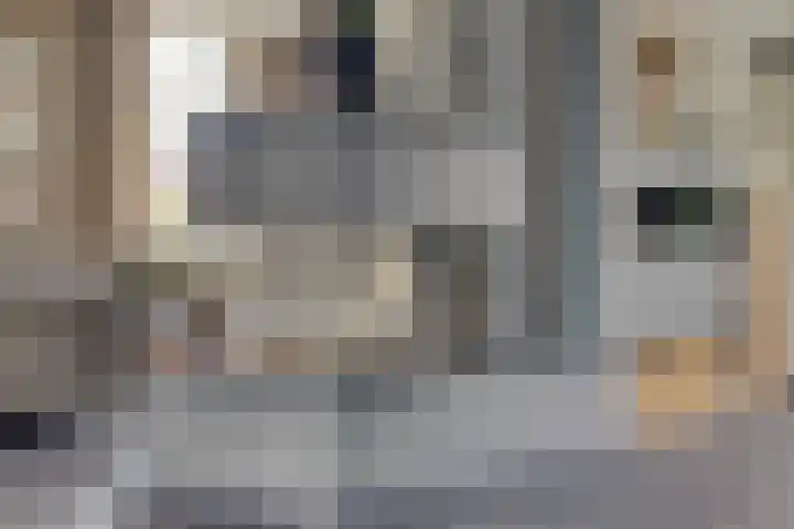 Hogehoek 2 d Oeffelt thumbnail 14