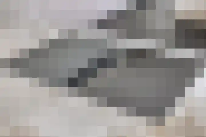 Hogehoek 2 d Oeffelt thumbnail 19