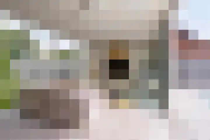Hogehoek 2 d Oeffelt thumbnail 26