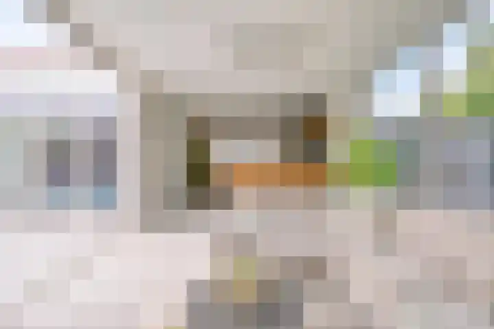 Hogehoek 2 d Oeffelt thumbnail 27