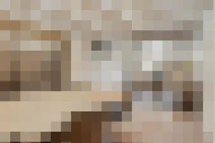 Hogehoek 2 d Oeffelt thumbnail 35