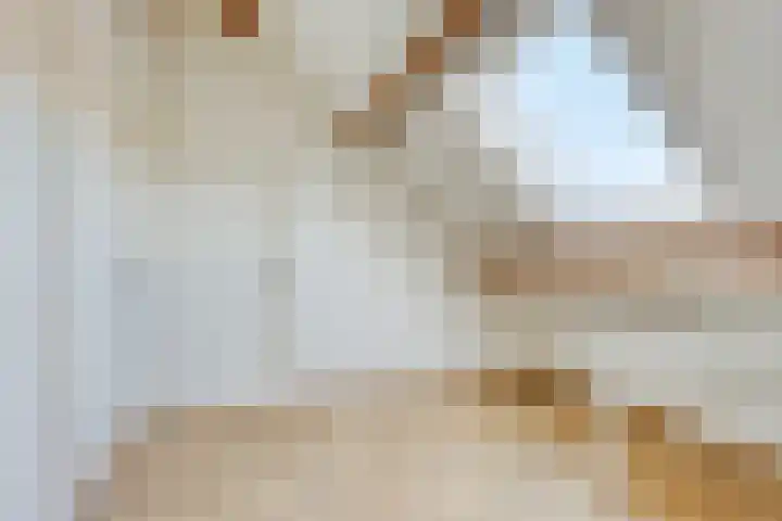 Hogehoek 2 d Oeffelt thumbnail 43