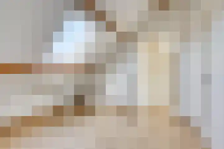 Hogehoek 2 d Oeffelt thumbnail 44
