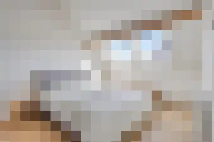Hogehoek 2 d Oeffelt thumbnail 45