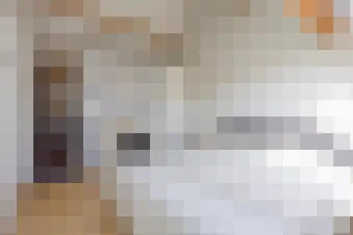 Hogehoek 2 d Oeffelt thumbnail 46