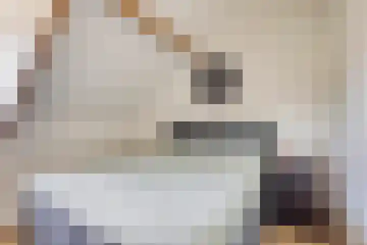 Hogehoek 2 d Oeffelt thumbnail 49