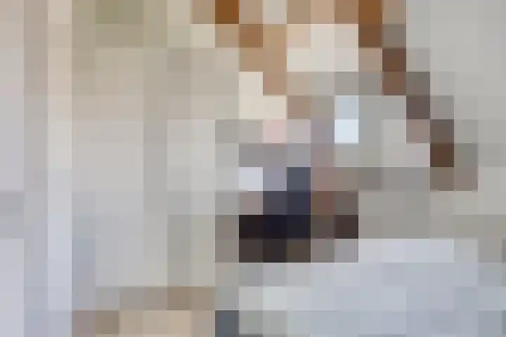 Hogehoek 2 d Oeffelt thumbnail 50