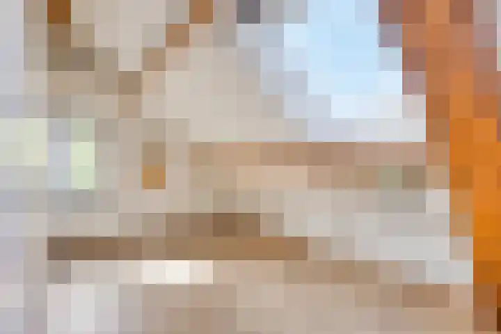Hogehoek 2 d Oeffelt thumbnail 51