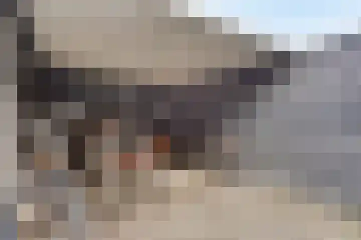 Hogehoek 2 d Oeffelt thumbnail 70