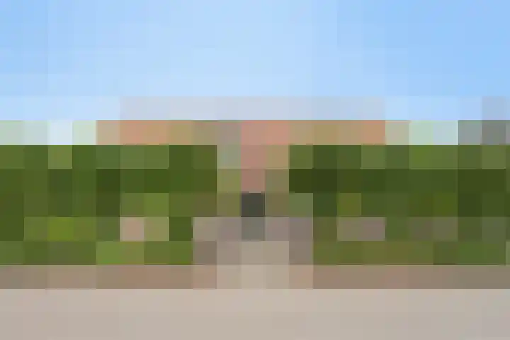 Hogehoek 2 d Oeffelt thumbnail 72