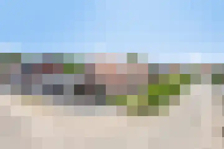 Hogehoek 2 d Oeffelt thumbnail 76