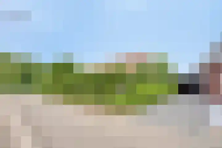 Hogehoek 2 d Oeffelt thumbnail 77