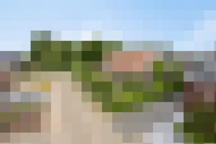 Hogehoek 2 d Oeffelt thumbnail 80