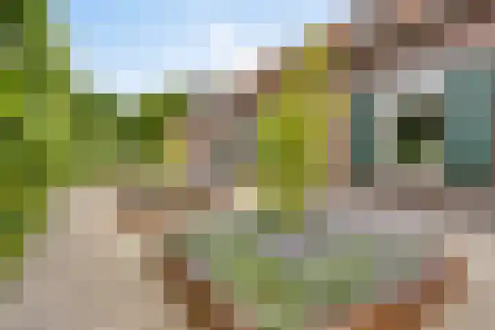 Hogehoek 2 d Oeffelt thumbnail 82
