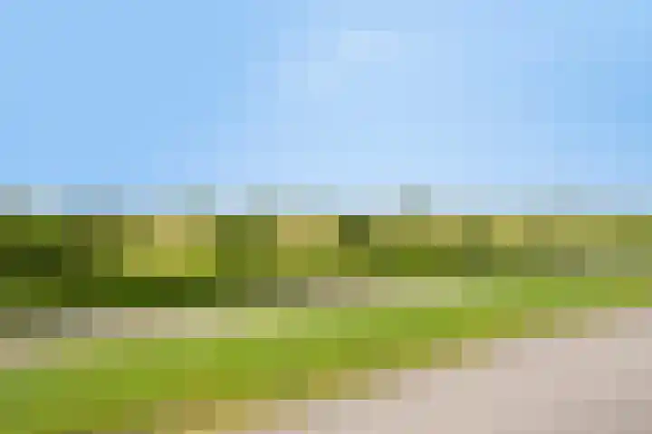 Hogehoek 2 d Oeffelt thumbnail 83