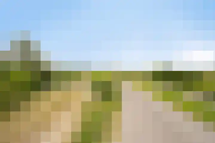 Hogehoek 2 d Oeffelt thumbnail 84