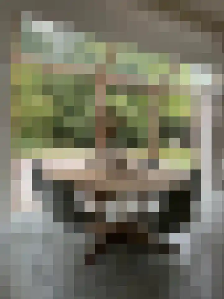 Hogehoek 7 Oeffelt thumbnail 10