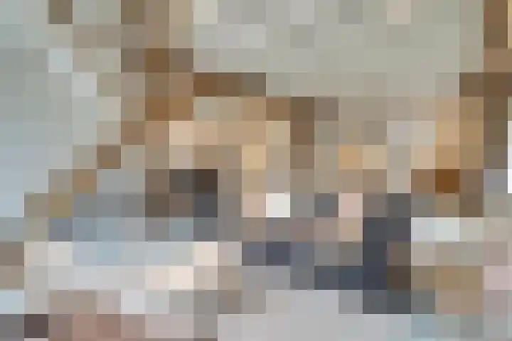 Hogehoek 7 Oeffelt thumbnail 11