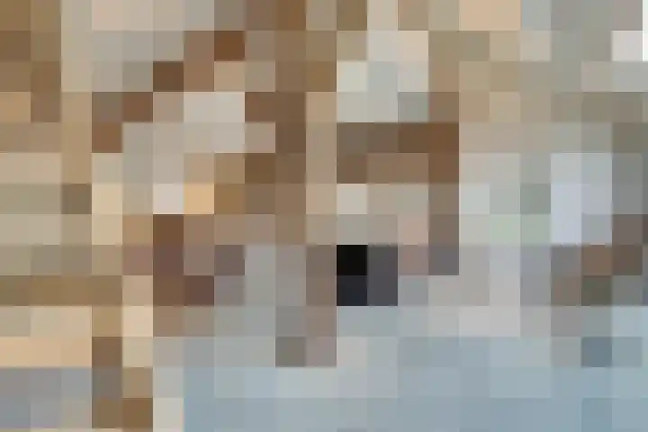 Hogehoek 7 Oeffelt thumbnail 12