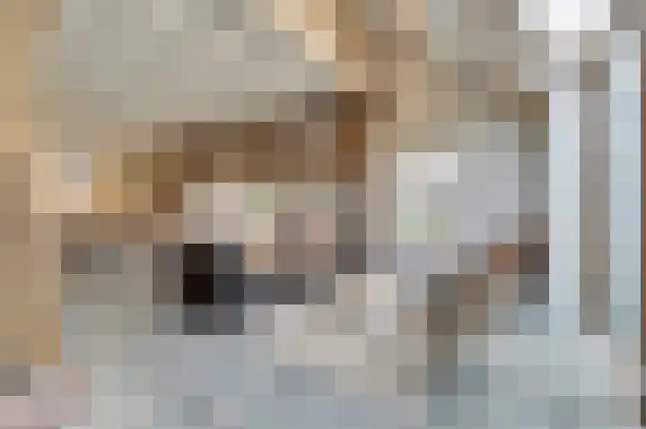 Hogehoek 7 Oeffelt thumbnail 13