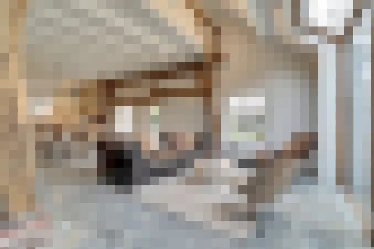 Hogehoek 7 Oeffelt thumbnail 13