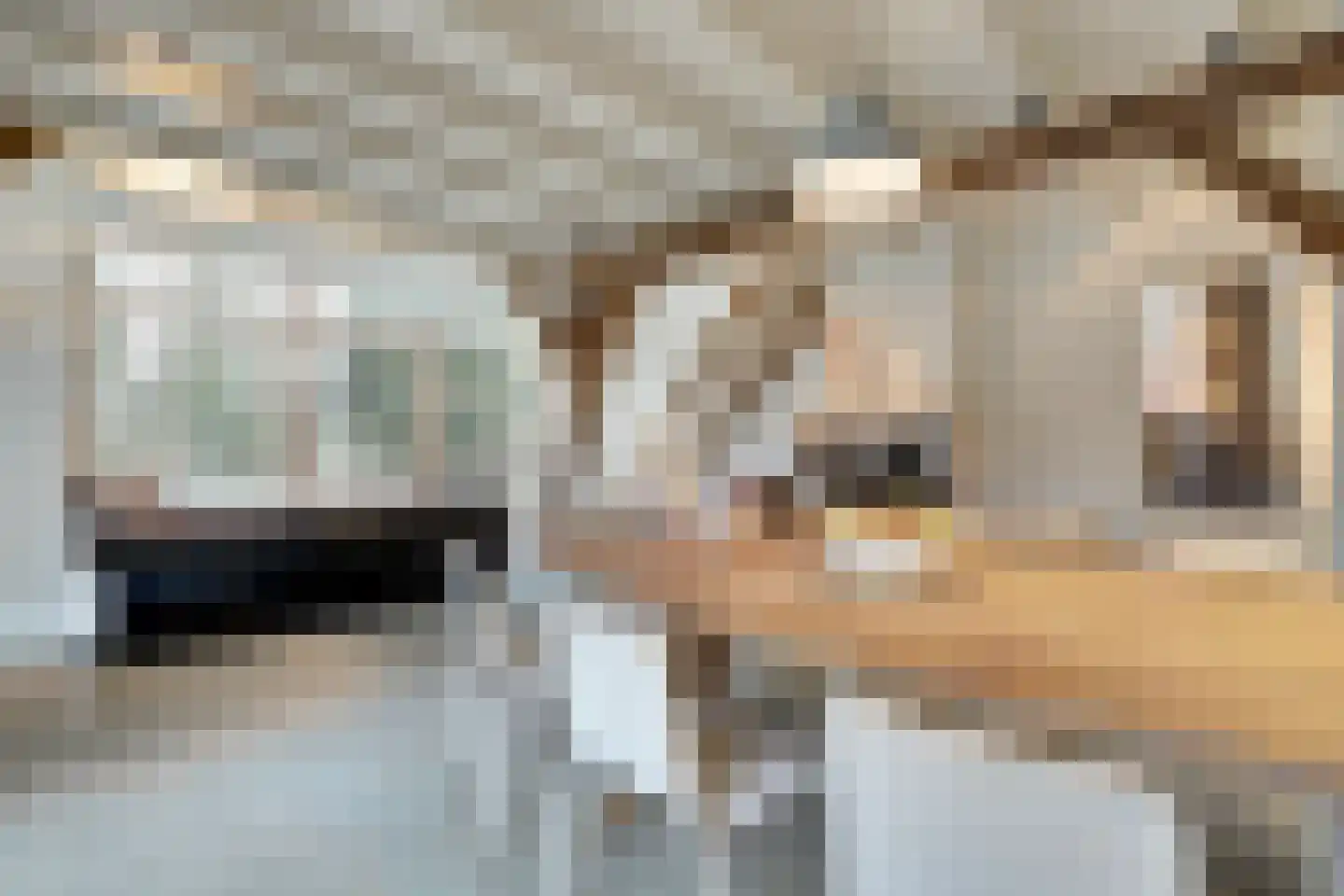 Hogehoek 7 Oeffelt thumbnail 17