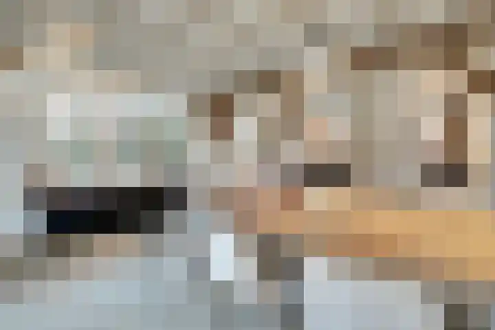 Hogehoek 7 Oeffelt thumbnail 17