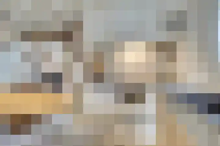 Hogehoek 7 Oeffelt thumbnail 21