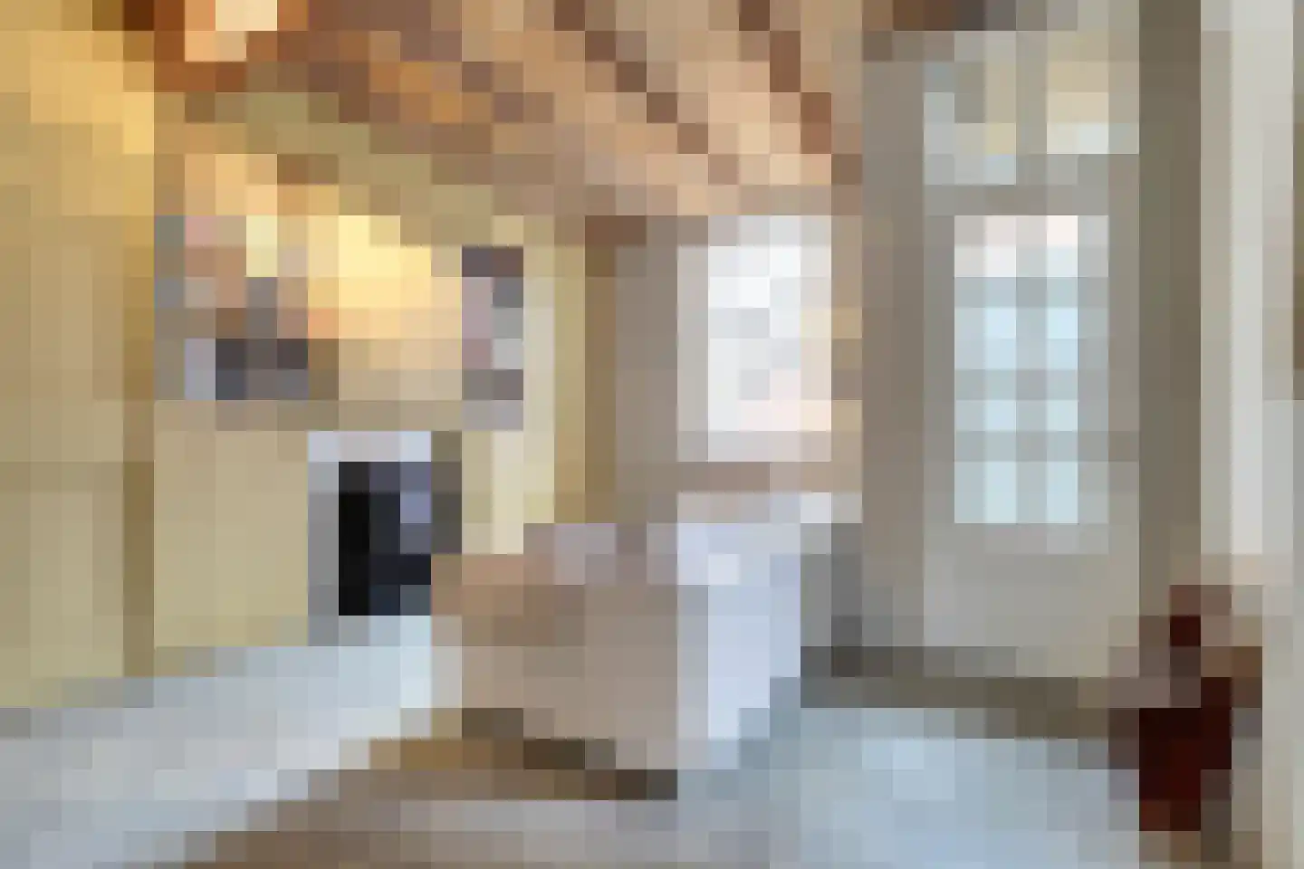 Hogehoek 7 Oeffelt thumbnail 27
