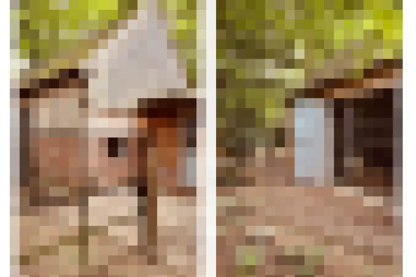 Hogehoek 7 Oeffelt thumbnail 46