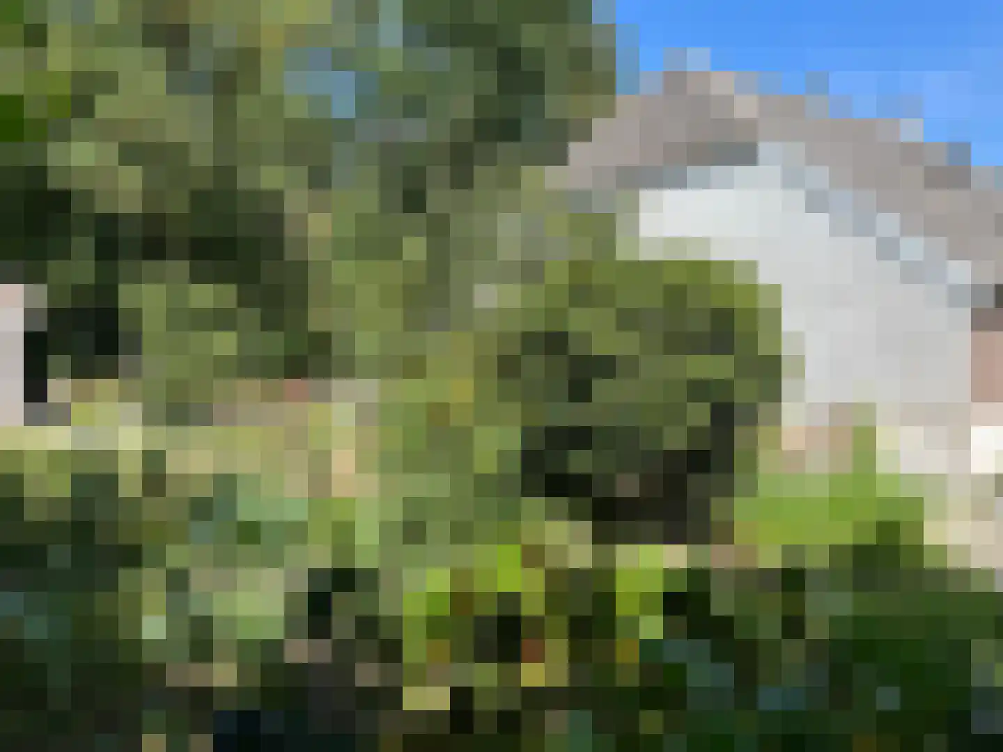 Hogehoek 7 Oeffelt thumbnail 62