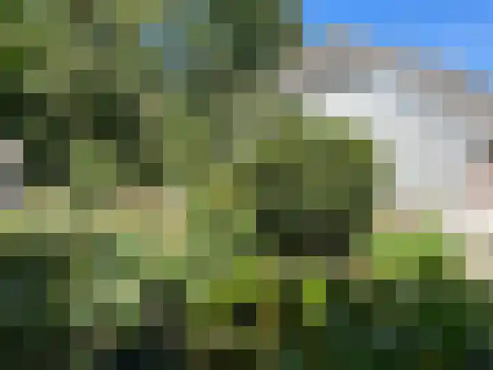 Hogehoek 7 Oeffelt thumbnail 62