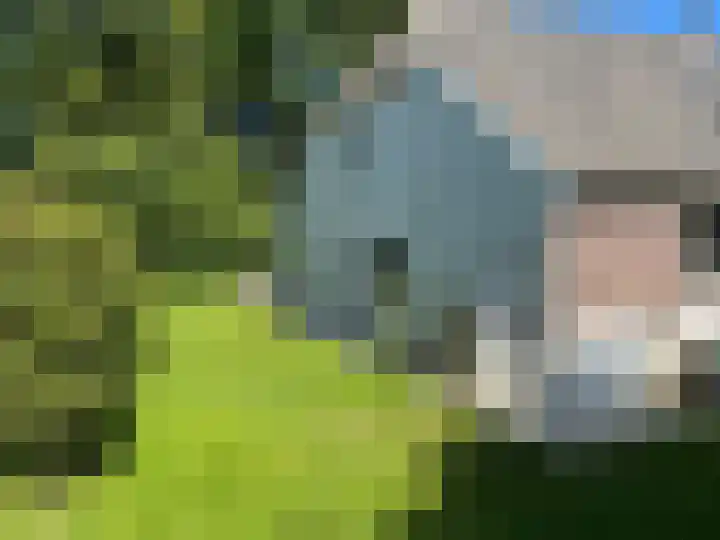 Hogehoek 7 Oeffelt thumbnail 64