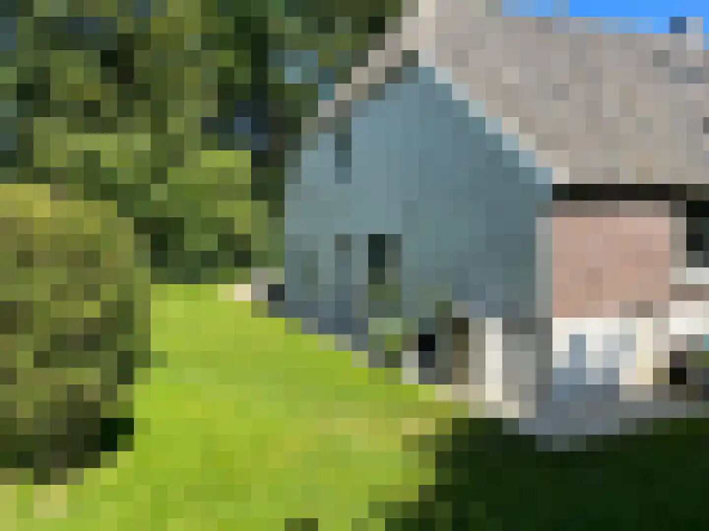 Hogehoek 7 Oeffelt thumbnail 64
