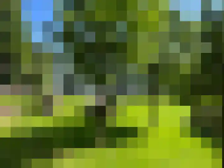 Hogehoek 7 Oeffelt thumbnail 65