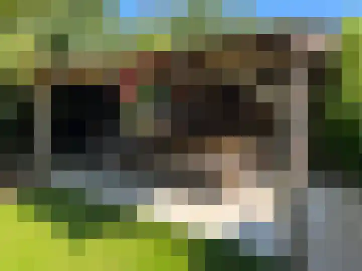 Hogehoek 7 Oeffelt thumbnail 68