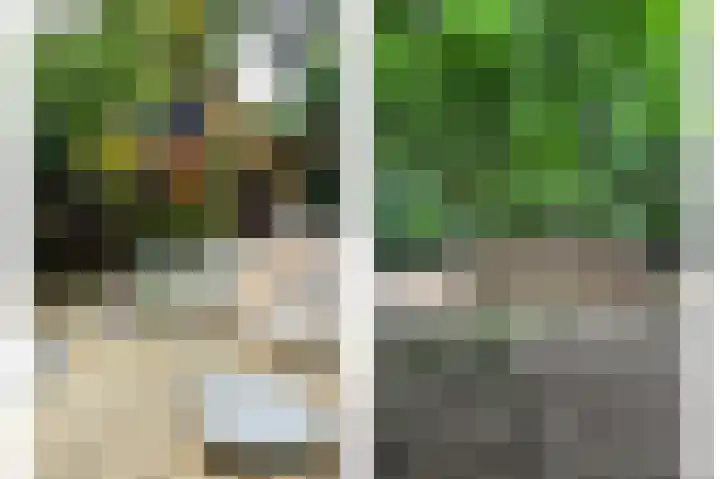 Hogehoek 7 Oeffelt thumbnail 69