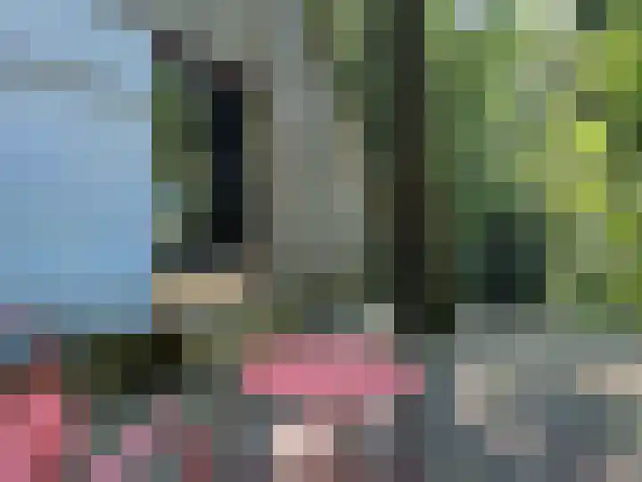 Hogehoek 7 Oeffelt thumbnail 72