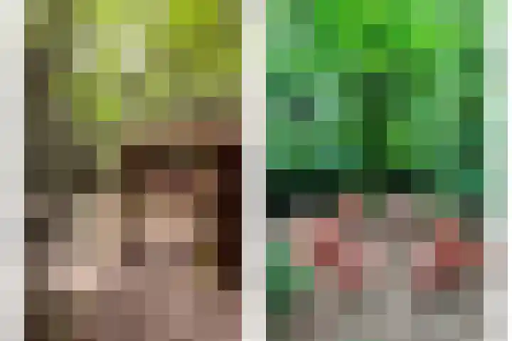 Hogehoek 7 Oeffelt thumbnail 73