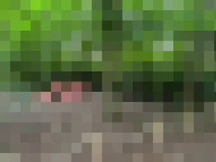 Hogehoek 7 Oeffelt thumbnail 75