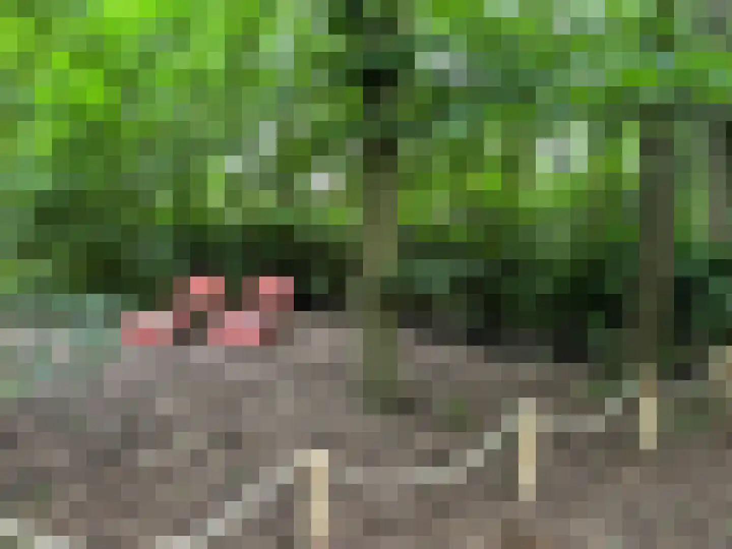 Hogehoek 7 Oeffelt thumbnail 75