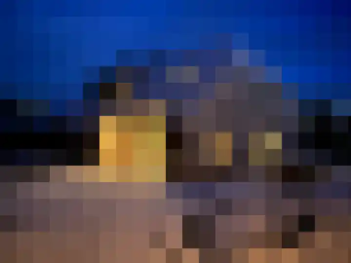 Hogehoek 7 Oeffelt thumbnail 76