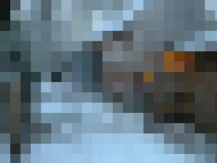 Hogehoek 7 Oeffelt thumbnail 78