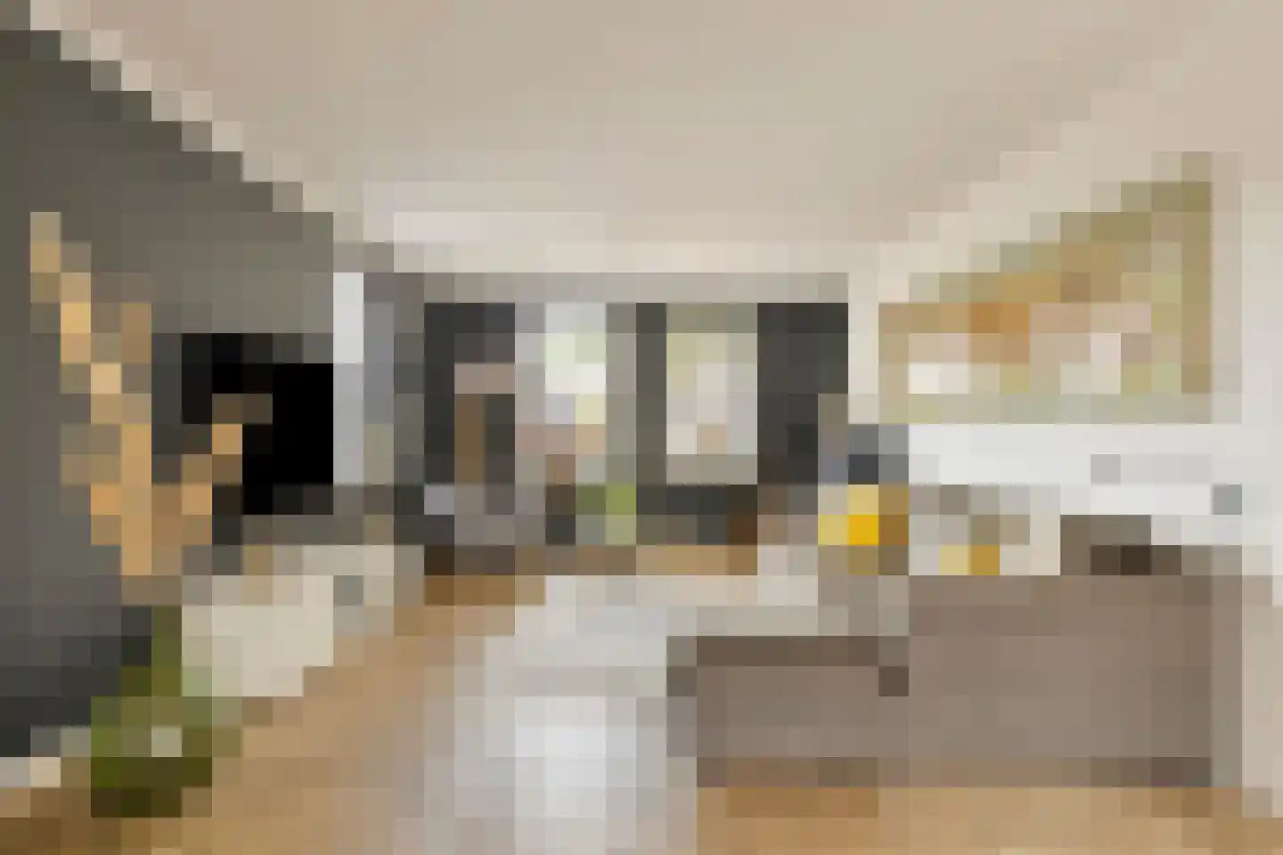 Hogehoek 8 Oeffelt thumbnail 13