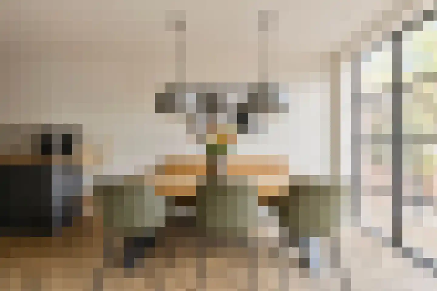 Hogehoek 8 Oeffelt thumbnail 22