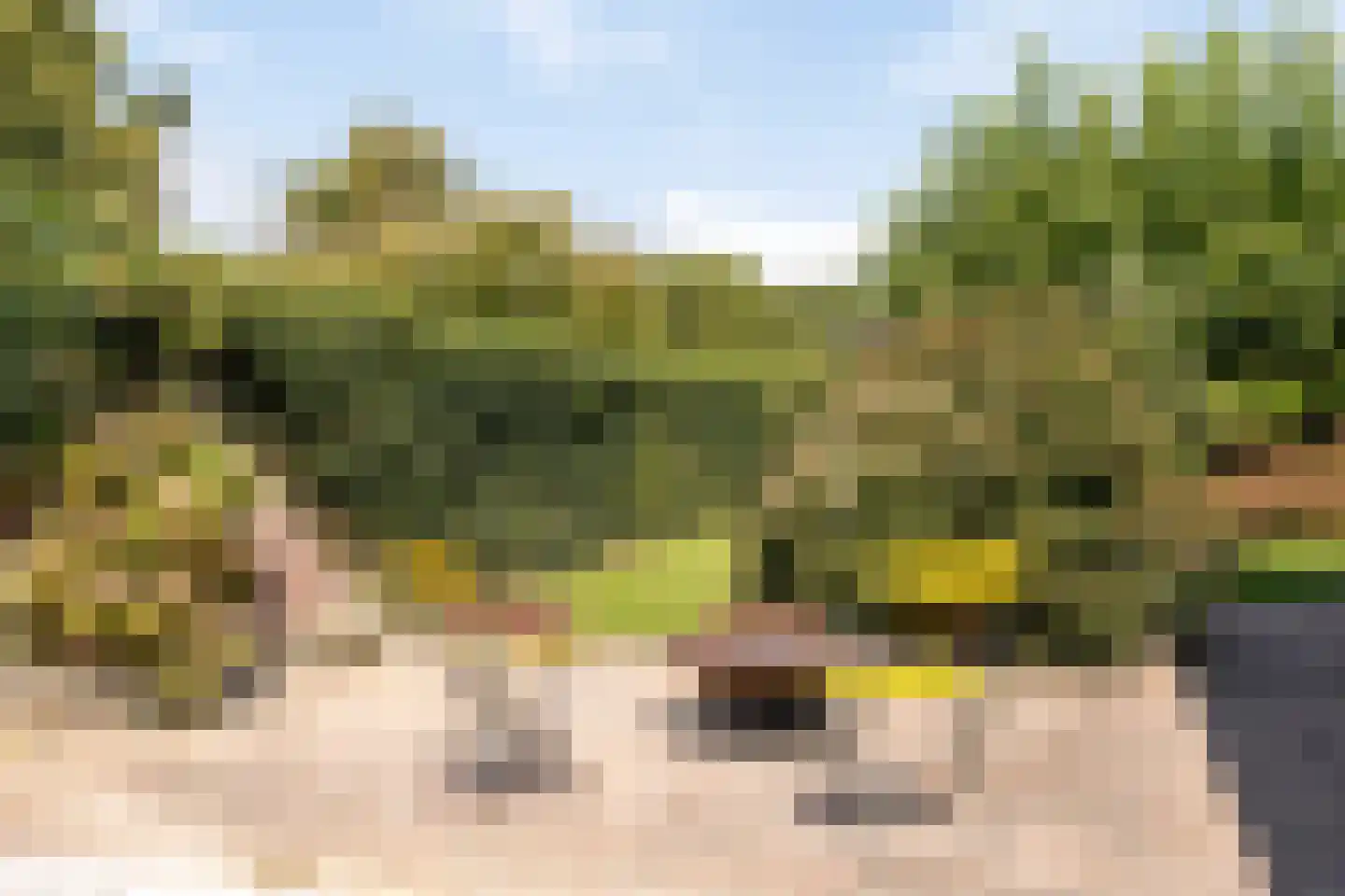 Hogehoek 8 Oeffelt thumbnail 48
