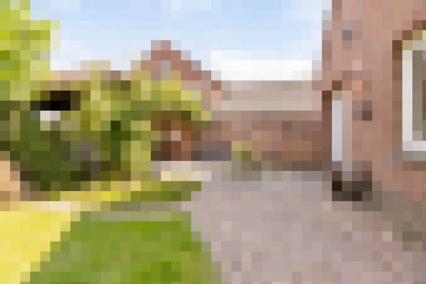 Hogehoek 8 Oeffelt thumbnail 49