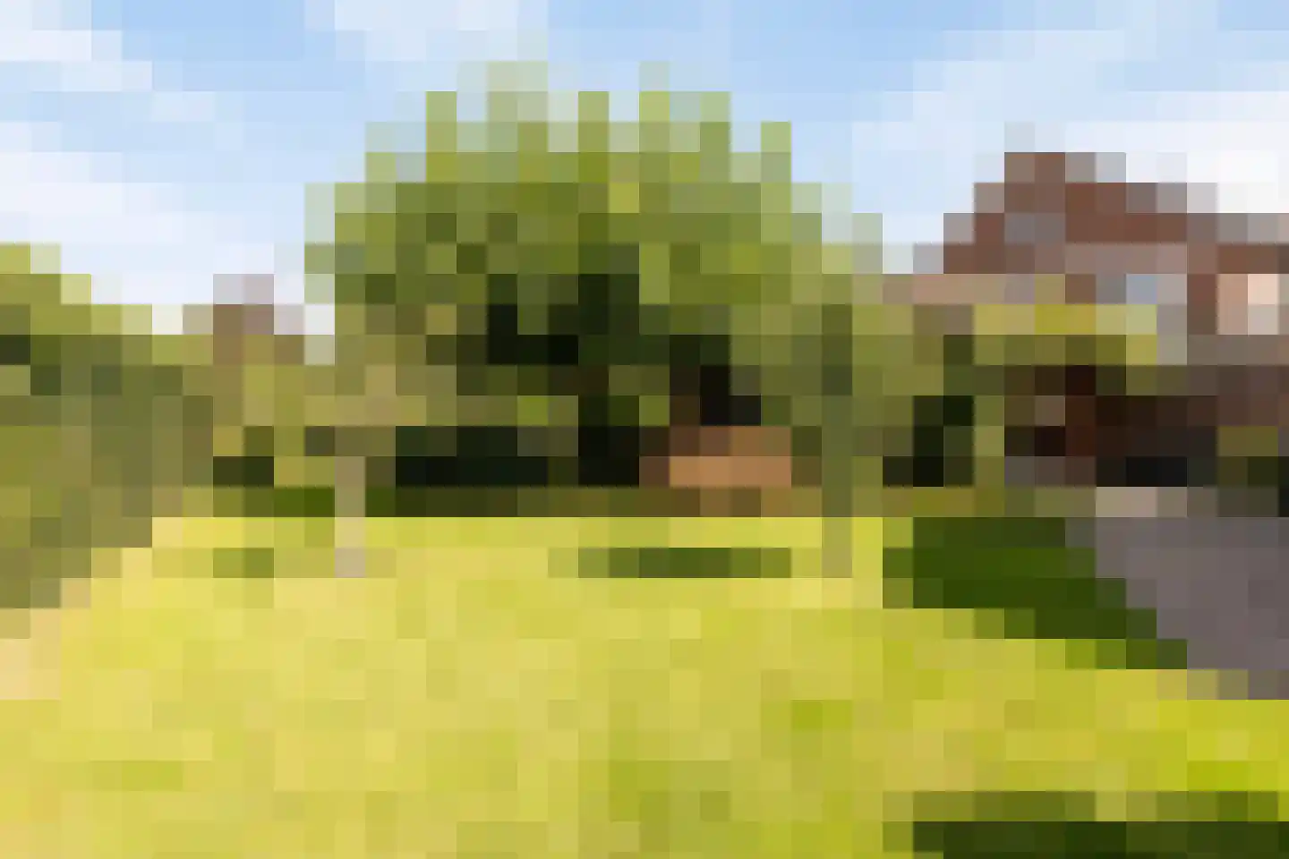 Hogehoek 8 Oeffelt thumbnail 50