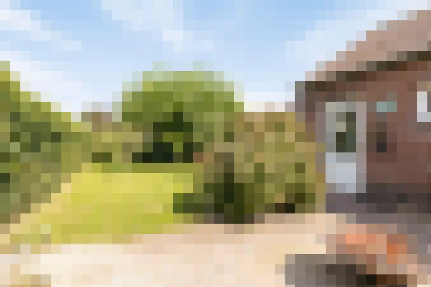Hogehoek 8 Oeffelt thumbnail 51